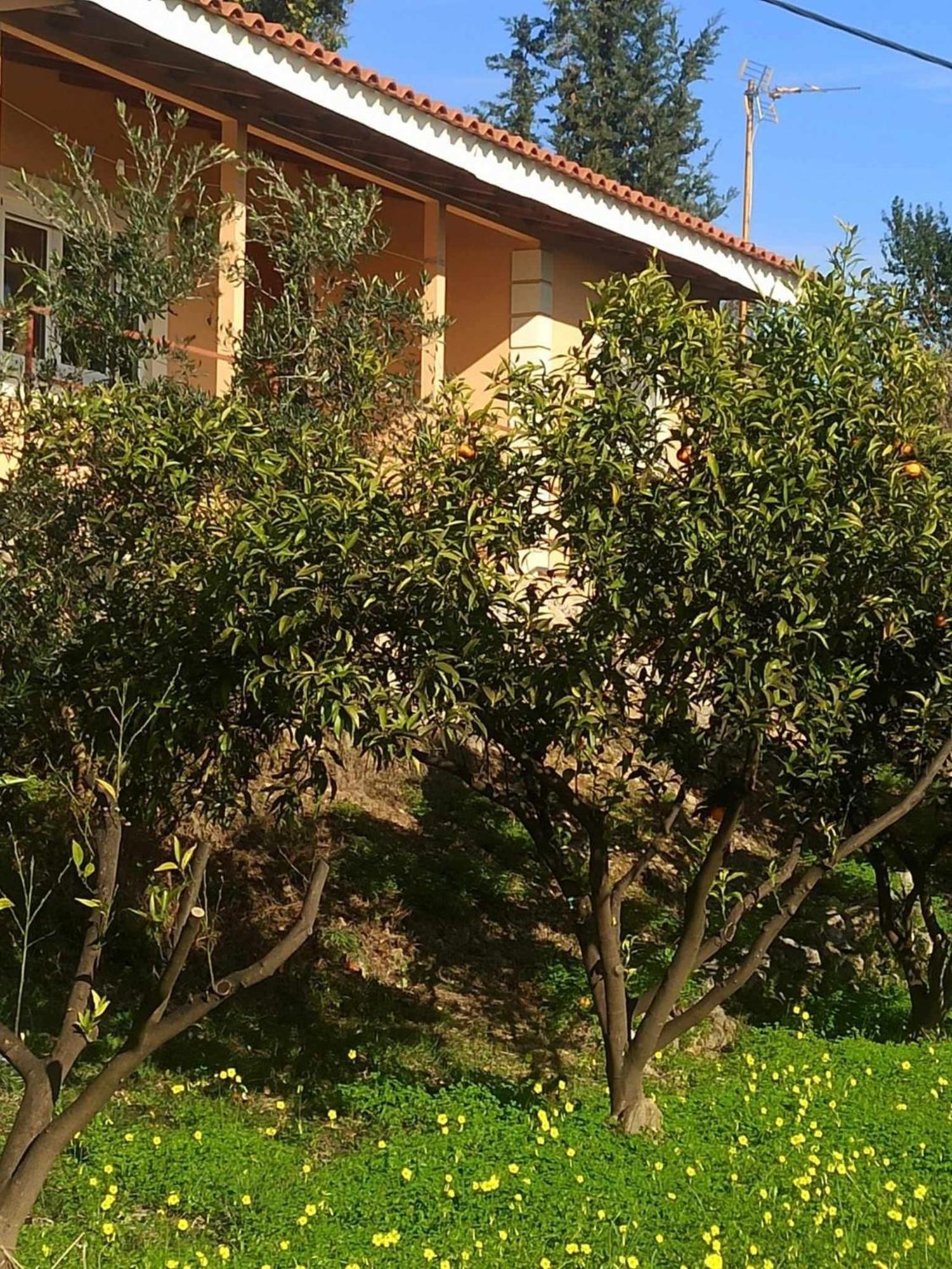 Takis&Eirini Family Apartments Perama  Exterior foto